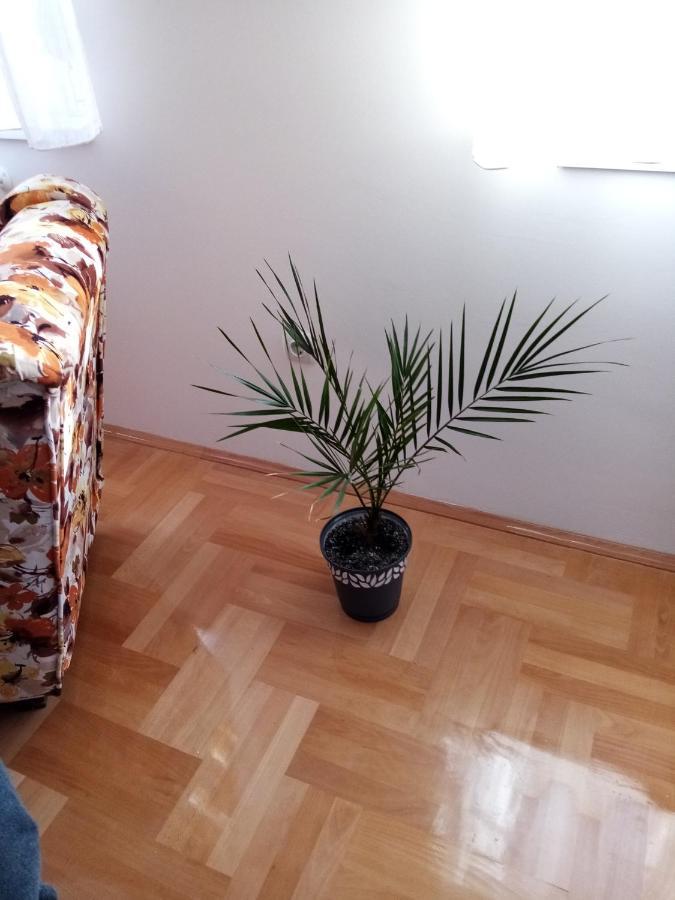 Apartman Maca Pirot Eksteriør bilde