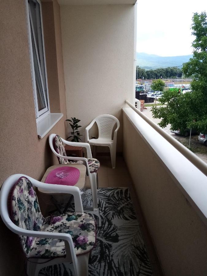 Apartman Maca Pirot Eksteriør bilde
