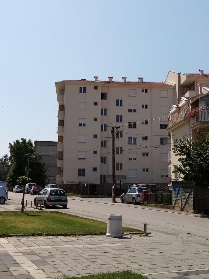 Apartman Maca Pirot Eksteriør bilde