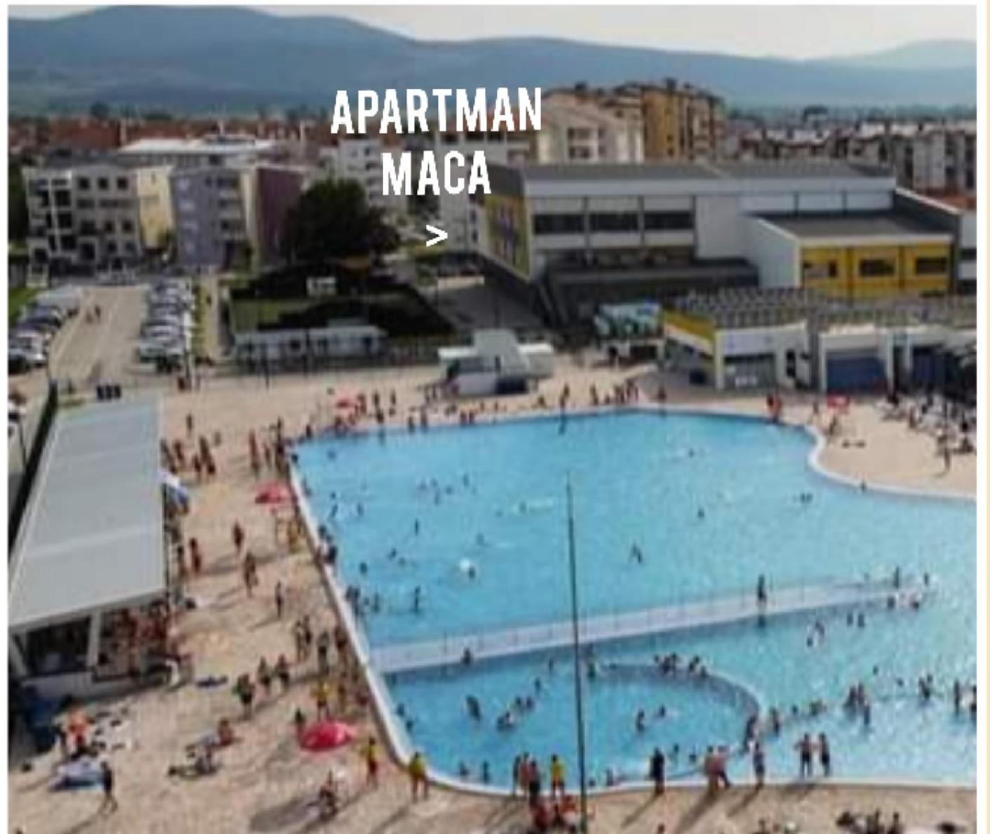 Apartman Maca Pirot Eksteriør bilde